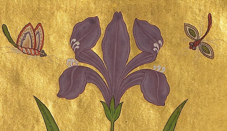 <span class="title">An Iris, Double -sided folio from the Aparokshasiddhanta of Maharaja Jasvant Singh of Jodhpur<span class="title_comma">, </span></span><span class="year">Aurangabad, Deccan, dated 1669-70</span>